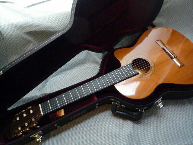 Di Giorgio Talent2, tampo solido, case original - Foto 2