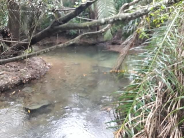Linda chácara rica em água em Bodoquena - Foto 2