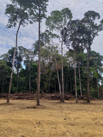 Vendo linda Chácara no Rio Negro, realize seu sonho de ter sua chácara - Foto 17