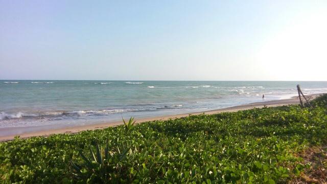 Vendo ou alugo casa em Ilha de Barra Grande - Foto 3