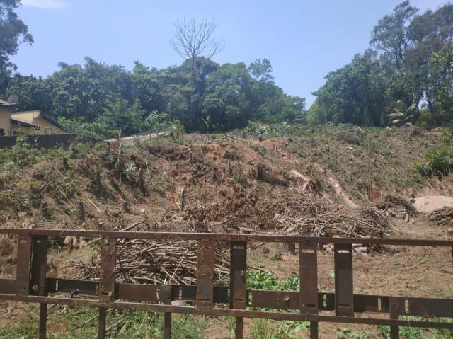Terreno à venda em Vila santo antônio, Cotia cod:62415 - Foto 3