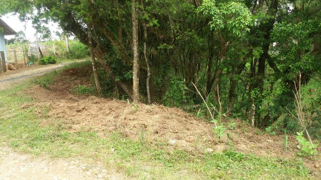 Terreno - Foto 2