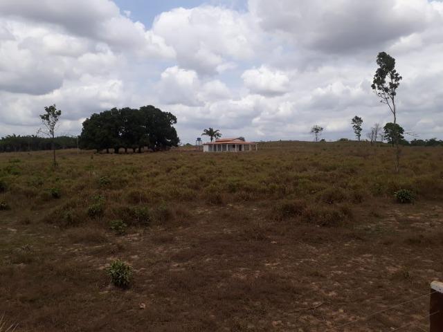 Vendo fazenda com 315 Hectares de terra!! - Foto 12