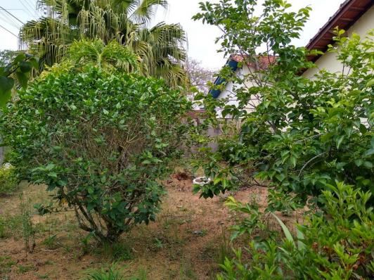 Chácara à venda em Sorocamirim (canguera), São roque cod:62193 - Foto 15