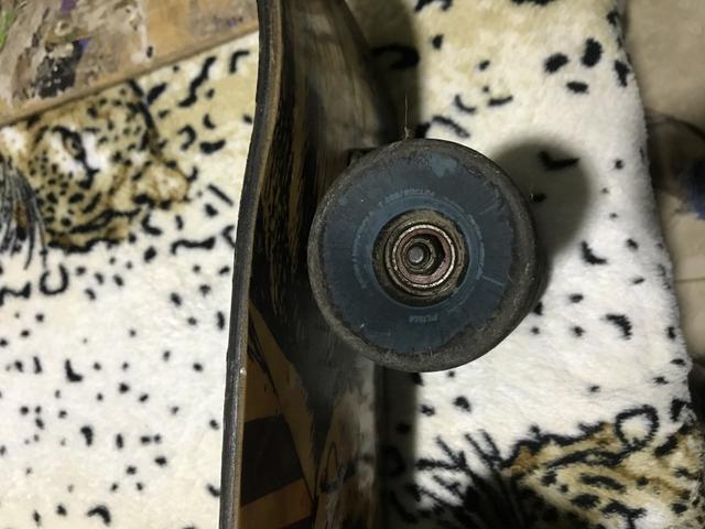 Skate Semi Long - Foto 4