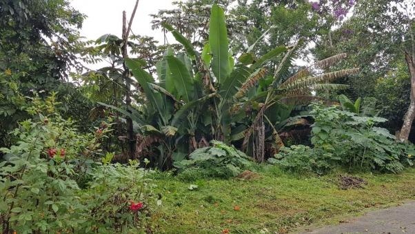 Terreno à venda em Jardim são jorge, Arujá cod:63335 - Foto 3
