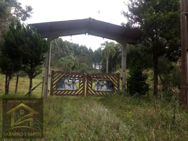 Aluga-se chácara com 18 alqueires com casa e estrutura para criação de gado - Foto 2
