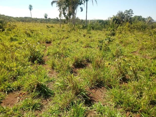 Chácara de 39 hectares em Acorizal ! - Foto 14