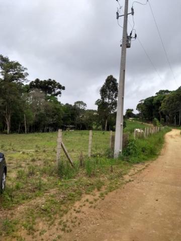 Chácara à venda em Rio do cacho, Contenda cod:CH00012 - Foto 7
