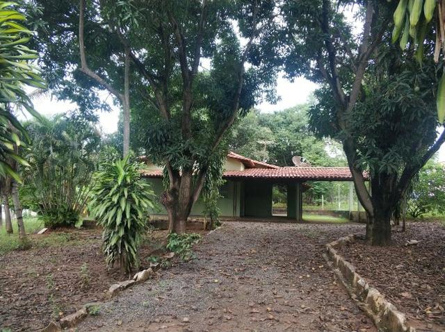 Sítio Beira do Rio São Francisco - Três Marias - MG - Foto 13