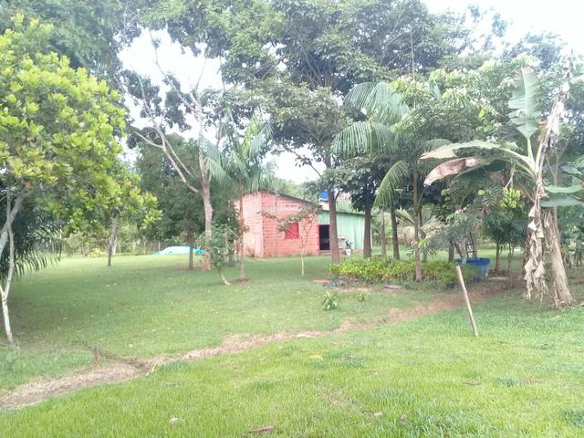 Chácara - Foto 13
