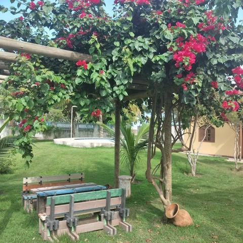 Chácara Vista Linda em Ponta da Fruta à beira da praia. - Foto 8