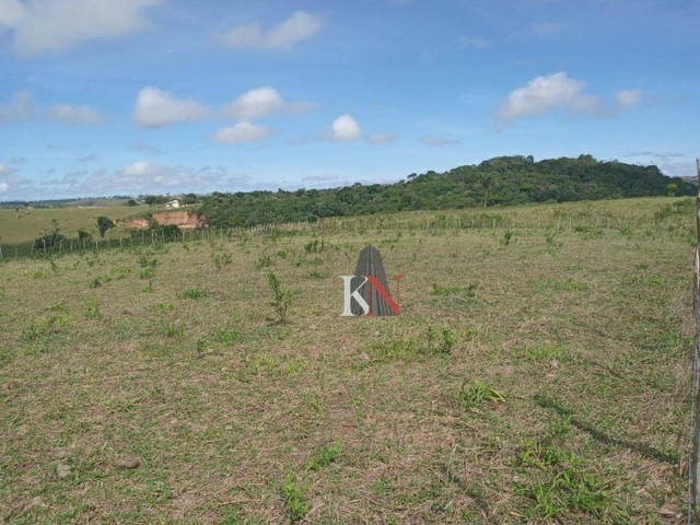 Vende-se propriedade rural em Bananeiras - Foto 5