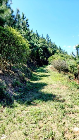 Terreno com 20.000m2 em Pedra Azul | Domingos Martins - Foto 10