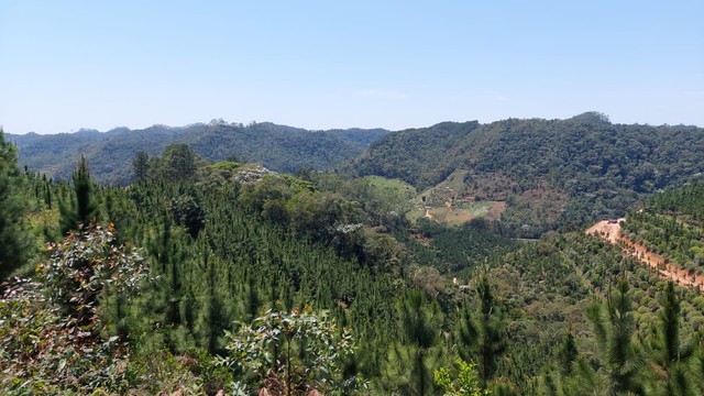 Terreno com 20.000m2 em Pedra Azul | Domingos Martins - Foto 15