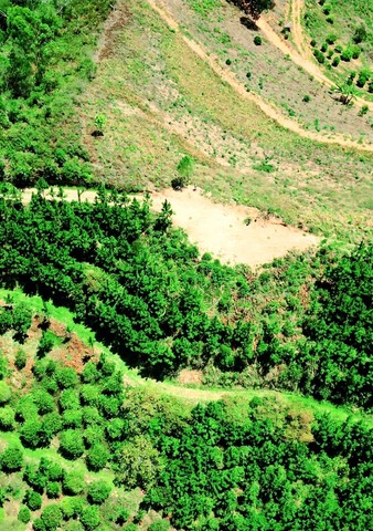 Terreno com 20.000m2 em Pedra Azul | Domingos Martins - Foto 4