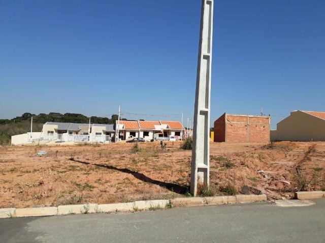 Fazenda Rio Grande- terrenos financiados-ent. R$2.450,00-