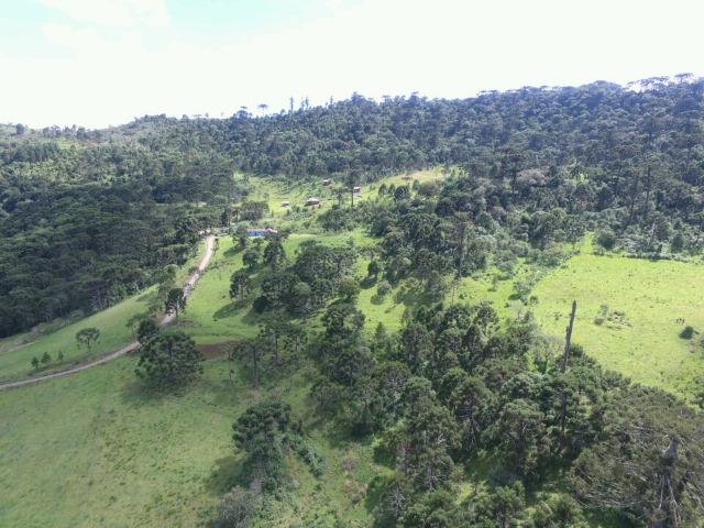 Sitio em Urubici /chácara em Urubici - Foto 10