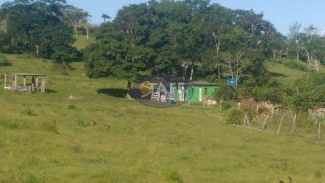 Sítio rural à venda, Agrisa, Cabo Frio - Foto 5