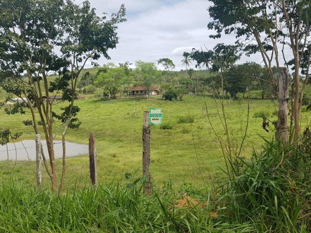 Ipiaú. Fazenda pecuária com 418 Hectares, completa infraestrutura - Foto 19