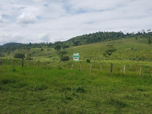 Ipiaú. Fazenda pecuária com 418 Hectares, completa infraestrutura - Foto 3