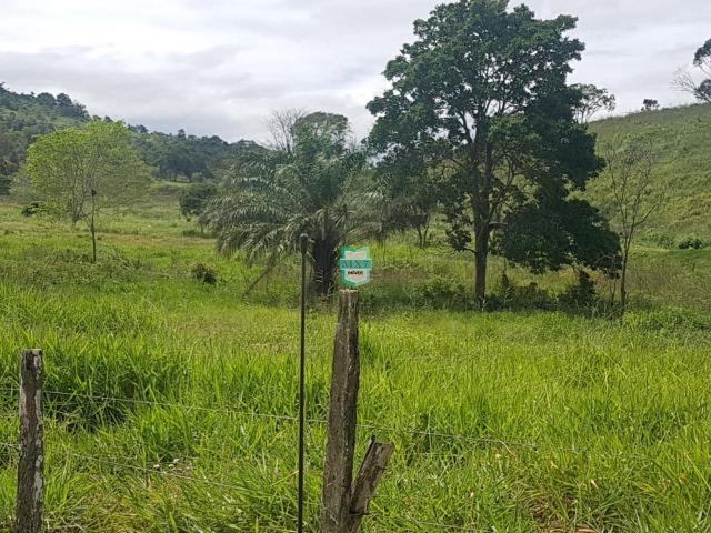 Ipiaú. Fazenda pecuária com 418 Hectares, completa infraestrutura - Foto 11
