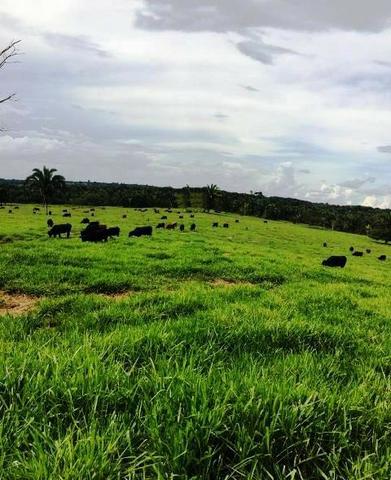 Fazenda Margem Rio Sepotuba B. Bugres MT - Foto 18