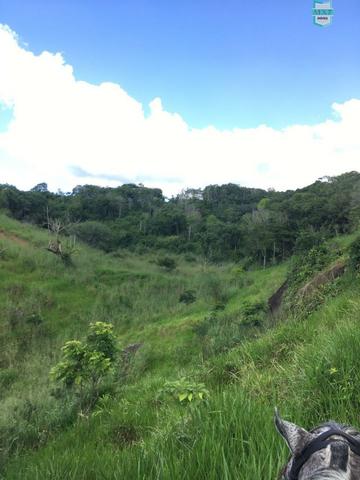 Itaju do Colônia. Fazenda de 400 Hectares. para pecuária. - Foto 10