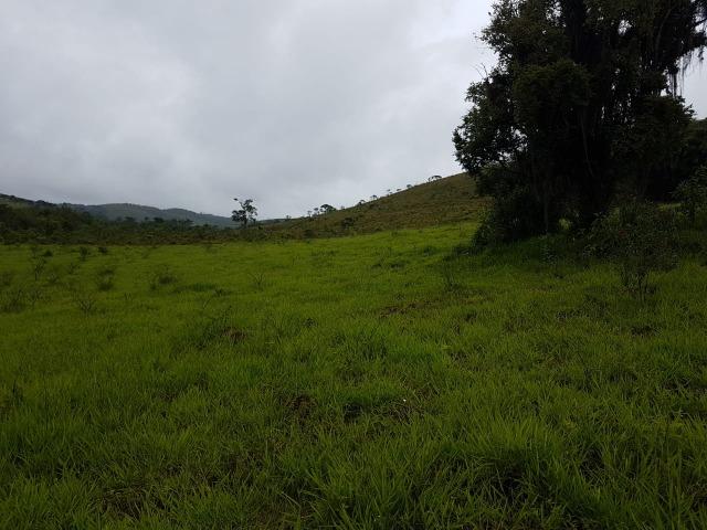 193B/Ótima fazenda de 70 ha bem localizada com ótima altitude e topografia - Foto 10