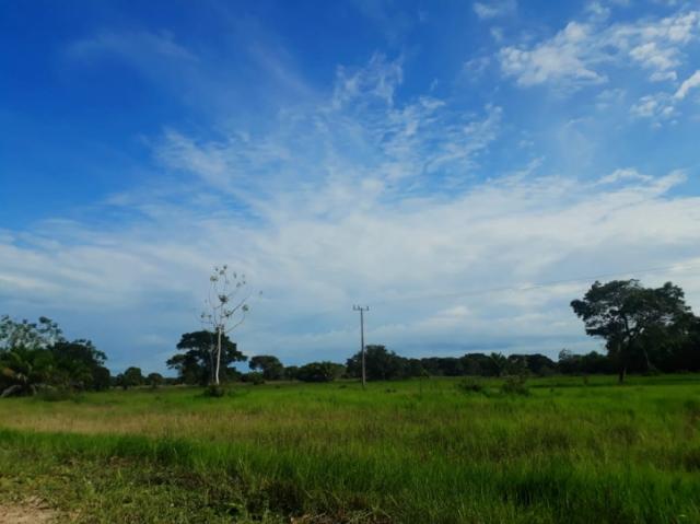 FAZENDA A VENDA EM CORUMBÁ - MS (Pecuária) - Foto 7