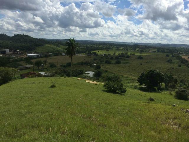 Fazenda na Cidade de Mata de São João - Foto 13