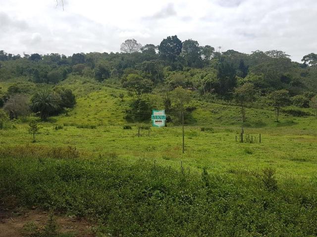 Ipiaú. Fazenda pecuária com 418 Hectares, completa infraestrutura - Foto 8
