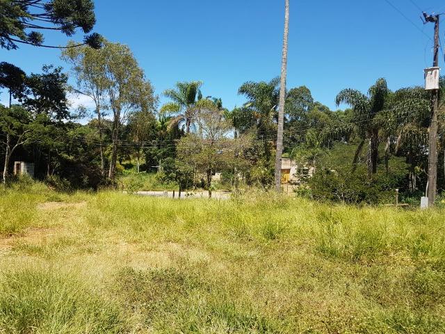 193B/Ótima fazenda de 70 ha bem localizada com ótima altitude e topografia - Foto 16
