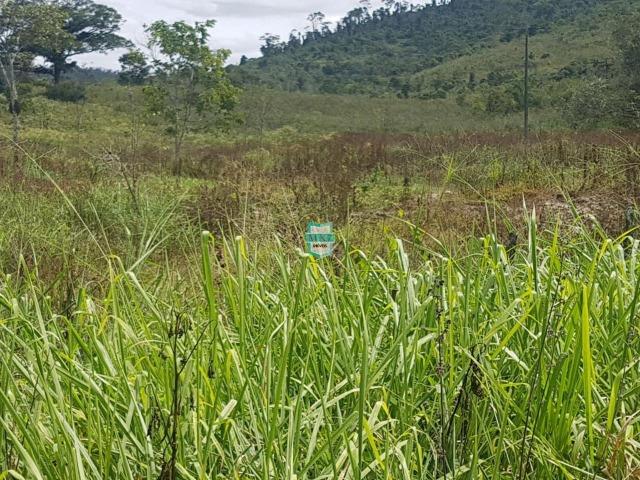 Ipiaú. Fazenda pecuária com 418 Hectares, completa infraestrutura - Foto 13