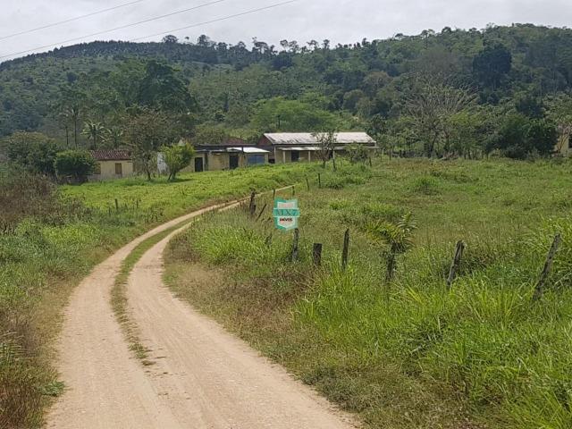 Ipiaú. Fazenda pecuária com 418 Hectares, completa infraestrutura - Foto 12