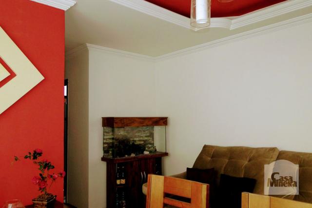 Apartamento à venda com 2 dormitórios em Carlos prates, Belo horizonte cod:256781 - Foto 5
