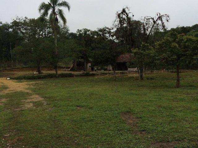 Chácara para alugar com 4 dormitórios em Vila nova, Joinville cod:L58656 - Foto 15