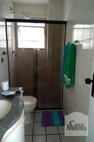 Apartamento à venda com 3 dormitórios em Padre eustáquio, Belo horizonte cod:256094 - Foto 14