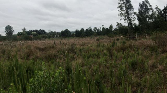Terreno no Parque Eldorado - Foto 6