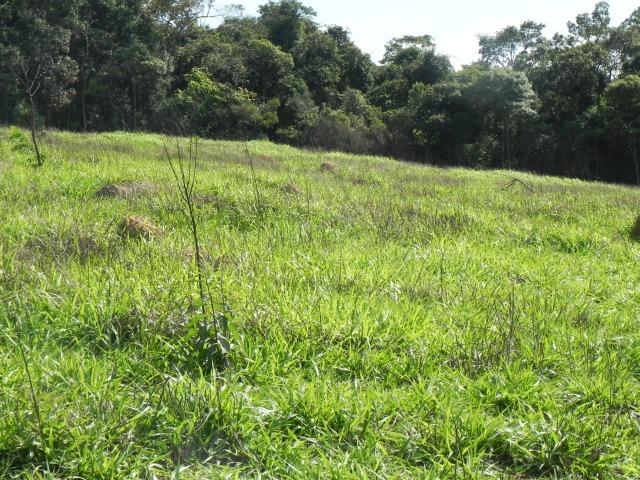 L.O1 escolha logo o seu ! terrenos em mairiporã - Foto 5