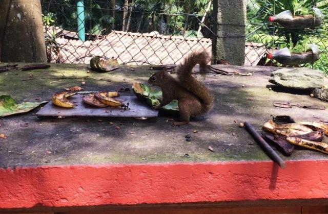Chácara à venda em Condomínio iolanda, Taboão da serra cod:60343 - Foto 9