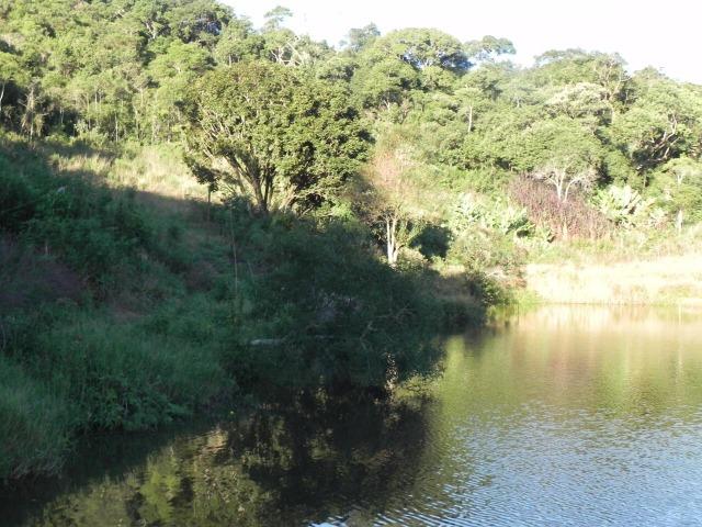 L.o1 terrenos a venda em mairiporã 1.000m² - Foto 4