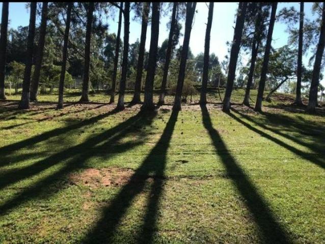 Sua hora é agora! - Foto 2