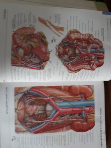 Livros de anatomia humana