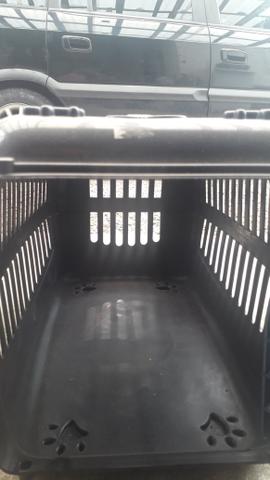 Casinha é transportador para gatos