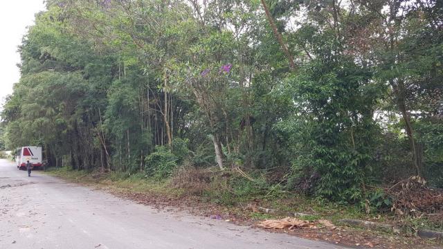 Terreno à venda em Jardim são jorge, Arujá cod:63335 - Foto 4