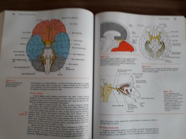 Livros de anatomia humana - Foto 2