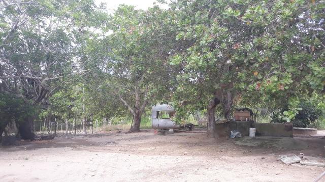 Granja com 10.000 m², vizinha ao Condomínio Fazenda Real I/II, em Macaíba/RN - Foto 8
