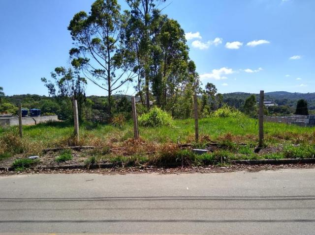 Terreno à venda em Pavão (canguera), São roque cod:61928 - Foto 13