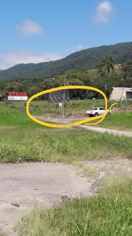 Terreno à venda em São miguel, Biguaçu cod:TE006896 - Foto 2